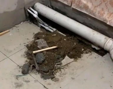 翠峦卫生间漏水检测哪家好