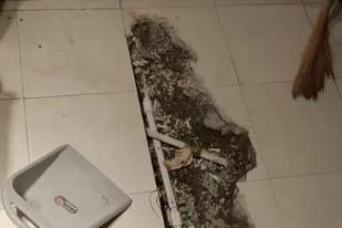 翠峦卫生间漏水检测电话